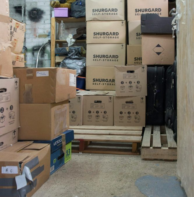 imgi_135_photo-1750174541233-9faac3787e26