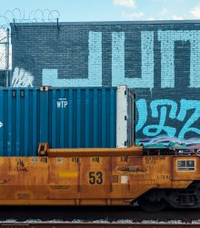 imgi_50_photo-1637102616491-7d664495873e